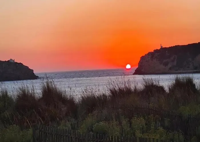 Sao Martinho Near São Martinho do Porto
